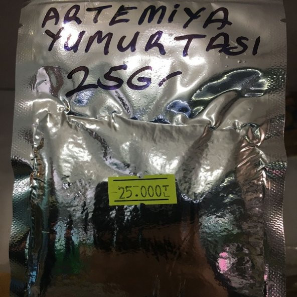 ARTEMİYA YUMURTASI (25Gr) - Resim 2