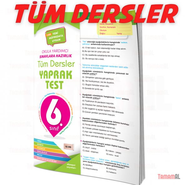 6.SINIF TÜM DERSLER SORU BANKASI + YAPRAK TEST SET ELEMENT ürün görseli 1