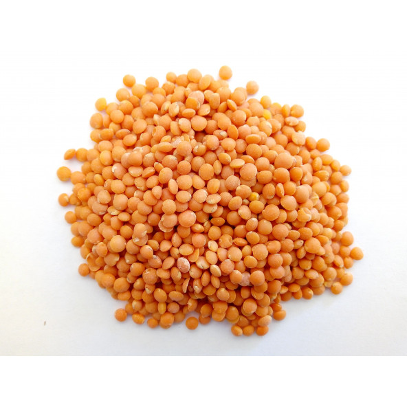 Naturel Cilasız Kırmızı Futbol Mercimek-(5 KG) ürün görseli 1