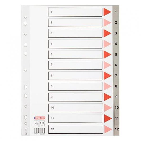 BIGPOINT SEPERATOR  PLASTIK A4 12 RENK (BP228-12) - Resim 2