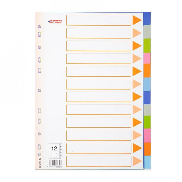 BIGPOINT SEPERATOR  PLASTIK A4 12 RENK (BP228-12) - Resim 3