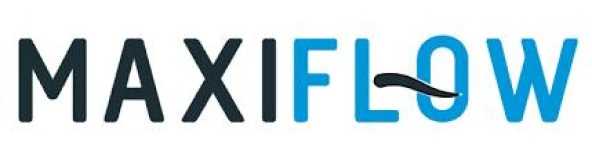 Tuvalet Kağıtlık Kapaklı Krom Maxiflow - Resim 2