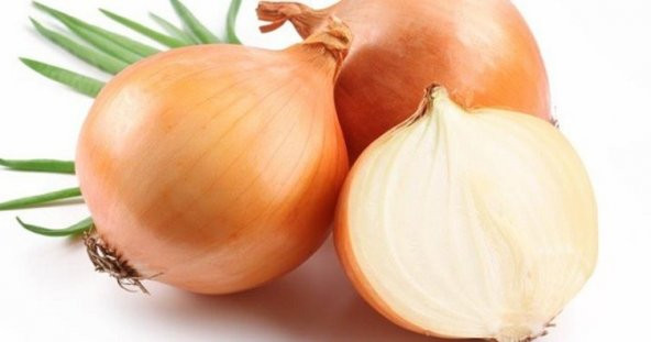 SOĞAN 10 KG LIK toplam fiyat ürün görseli 1