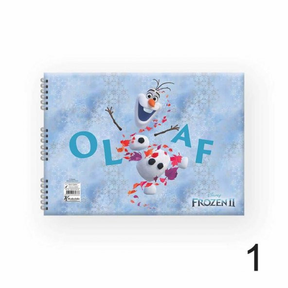 KESKIN FROZEN 17X25 15 YP RESIM DEFTERI (300115-92 ürün görseli 1