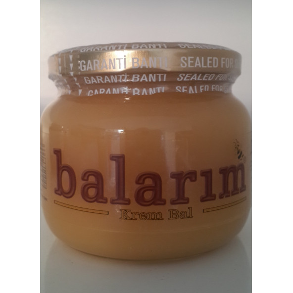 bal arım Krem Bal 250g 250g toplam 500 gram ürün görseli 1