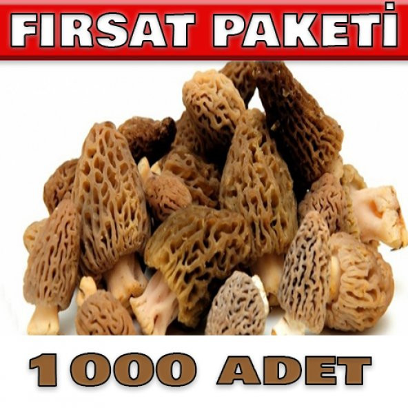 1000 adet kuzu göbeği mantarı tohumu ürün görseli 1