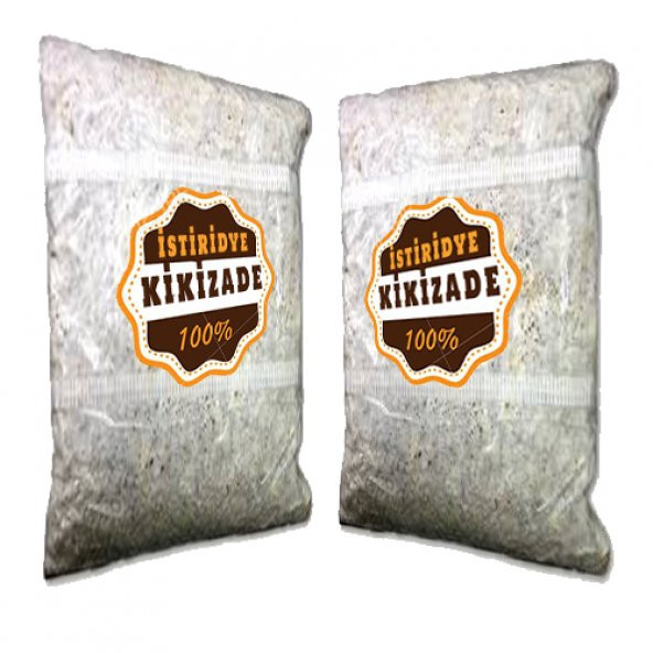 istiridye mantar tohumu 1 KG ürün görseli 1