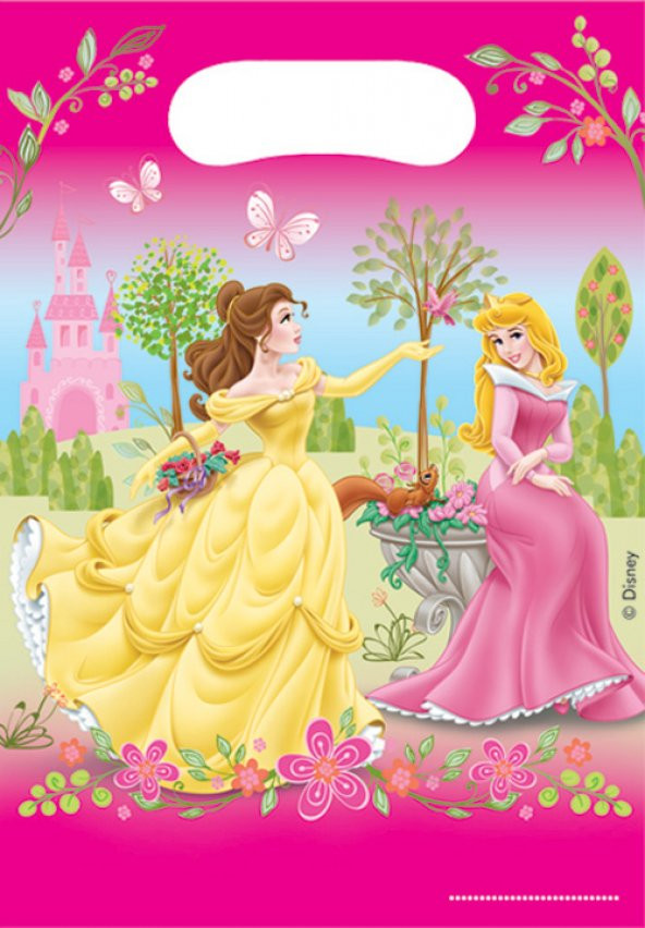 PRİNCESS PARTİ ÇANTASI 6LI ürün görseli 1