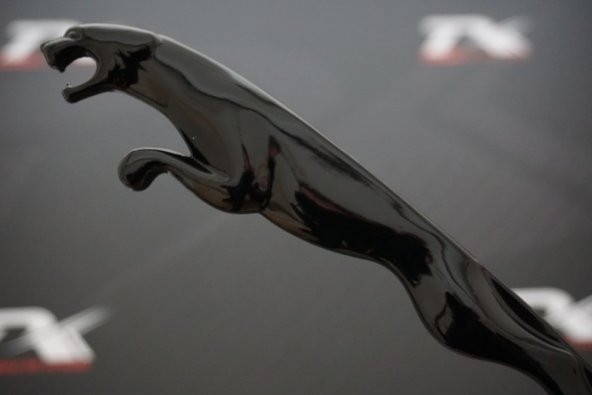 Jaguar Panter Bagaj 3M 3D Metal Logo Amblem ürün görseli 1