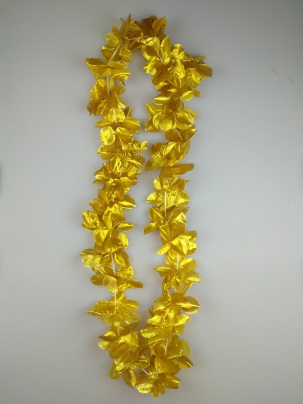 HAWAİİ KOLYE GOLD ürün görseli 1