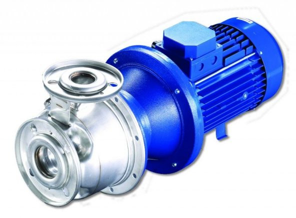 Lowara ESHE 32-160/15/S25RSNA 1,5 Kw 2900 d/d TrifazeDN50 DN32 ürün görseli 1