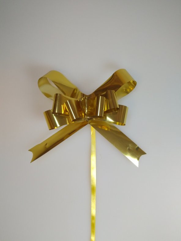 ÇEKMELİ FİYONK 19MM METALİK GOLD (1 ADET) ürün görseli 1