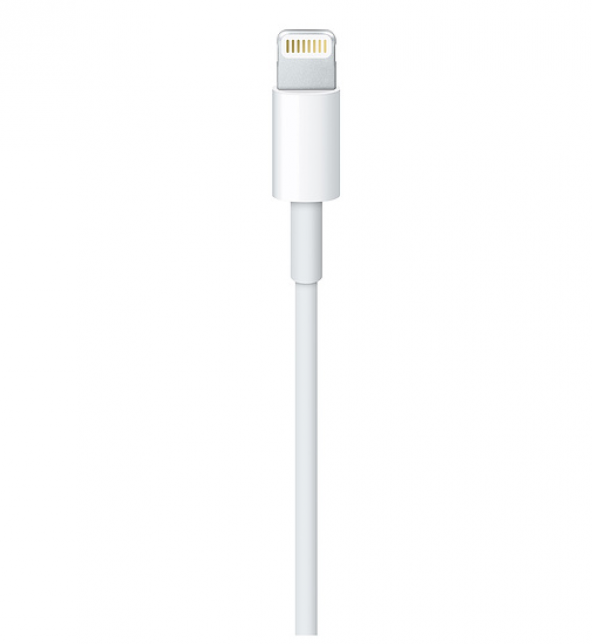 MD819ZM/A Apple Lightning to USB (2m) - Resim 2