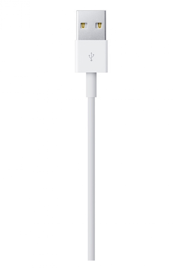 MD819ZM/A Apple Lightning to USB (2m) - Resim 3