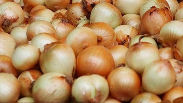 SOĞAN 15 KİLO ürün görseli 1