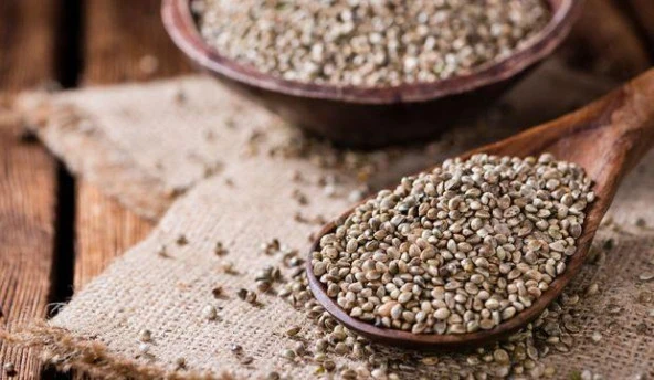 Kenevir Tohumu Kavrulmuş 1000 g e ürün görseli 1