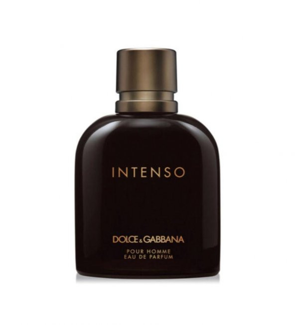Dolce & Gabbana Intenso EDP 125 ml Erkek Parfüm ürün görseli 1