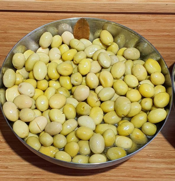 Sarı Ulak Zeytin Fidanı - Resim 5