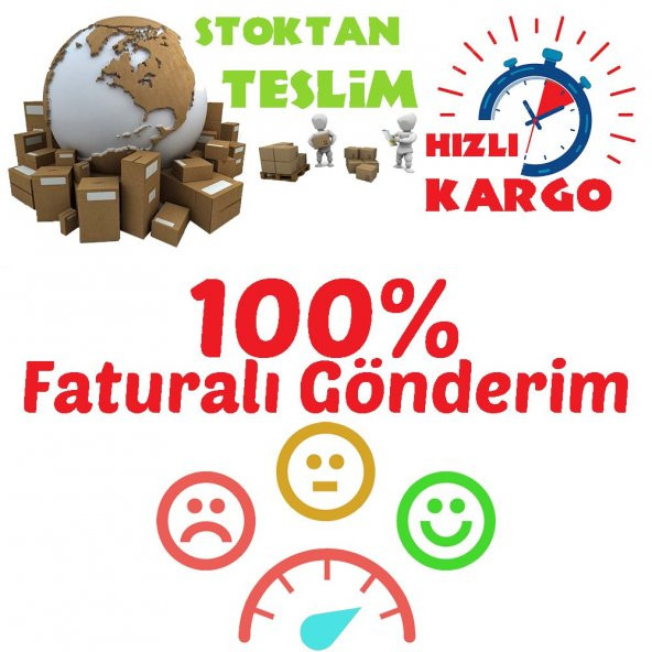 Tüplü Anadolu İğde Ağacı Fidanı - Resim 4