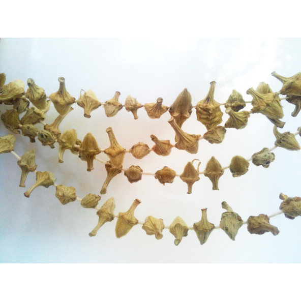 KURU ÇİÇEK BAMYA-(1 KG) ürün görseli 1