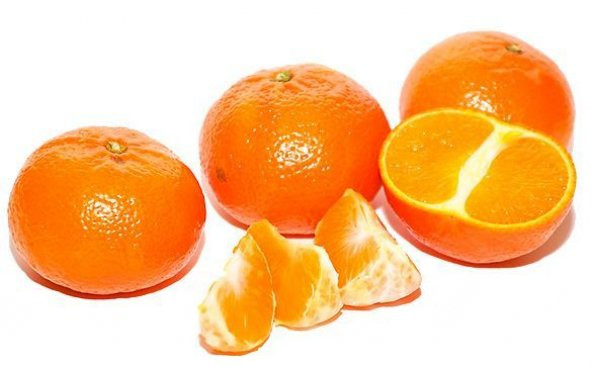 Tüplü Yarı Bodur Erkenci Early N Mandalin Fidanı ürün görseli 1