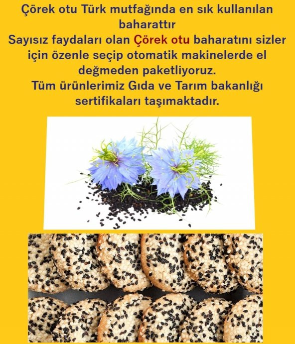 Parmak Baharat Çörek otu 1 kg - Resim 2