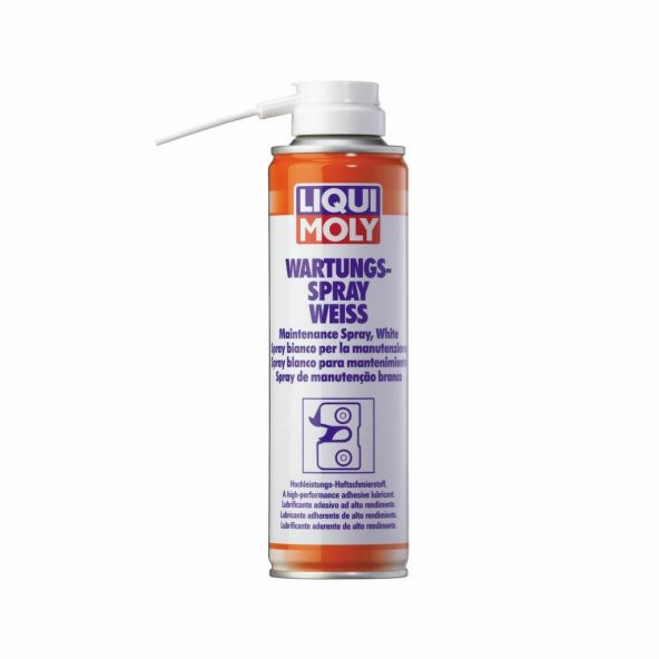 Liqui Moly Kapı Kilit Yağlayıcı Bakım Spreyi 250 ML (3075) ürün görseli 1