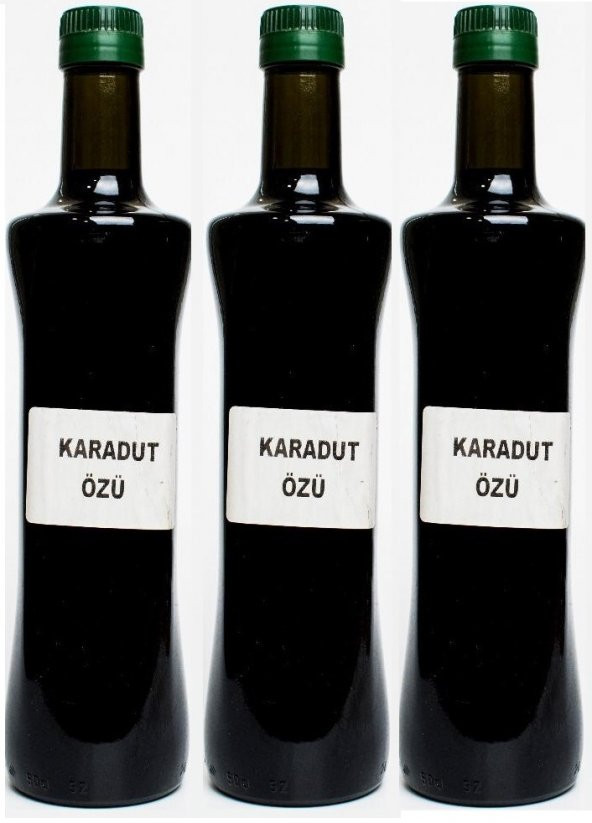 MESİR  BİRLİK KARADUT ÖZÜ 1 E 6 KONSANTRE 740 GR 3 LÜ SET 740 ürün görseli 1