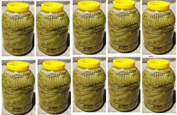 MANİSA BİRLİK SALAMURA YAPRAK 5 LİK PET 10 ADET ürün görseli 1
