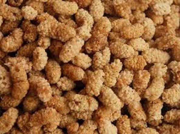DUT KURUSU 1 KG ürün görseli 1