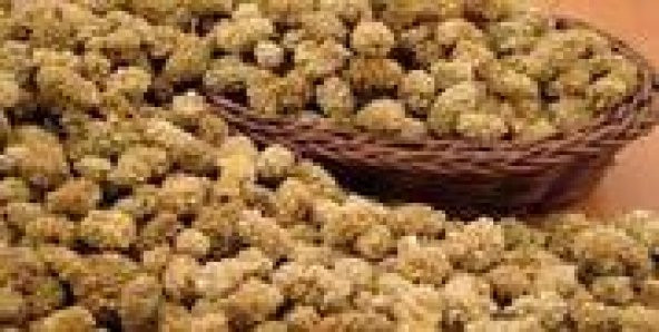 DUT KURUSU KATKISIZ 1 KG ürün görseli 1