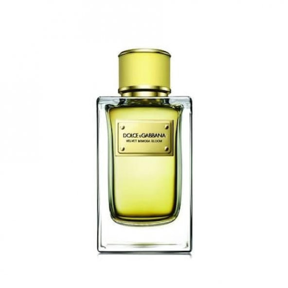 Dolce Gabbana Velvet Mimosa Bloom EDP 150 ml Kadın Parfüm ürün görseli 1