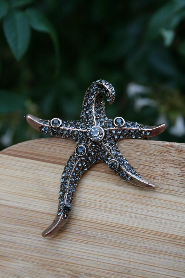 STONEAGE Deniz Yıldızı Bronz Broş Aksesuar - Resim 3