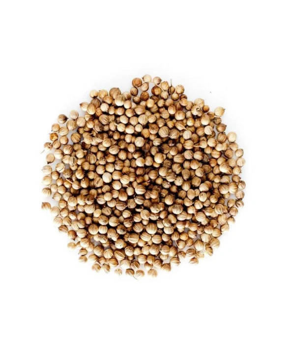 Organik Bitkim Tane Kişniş 500 gr - Resim 3