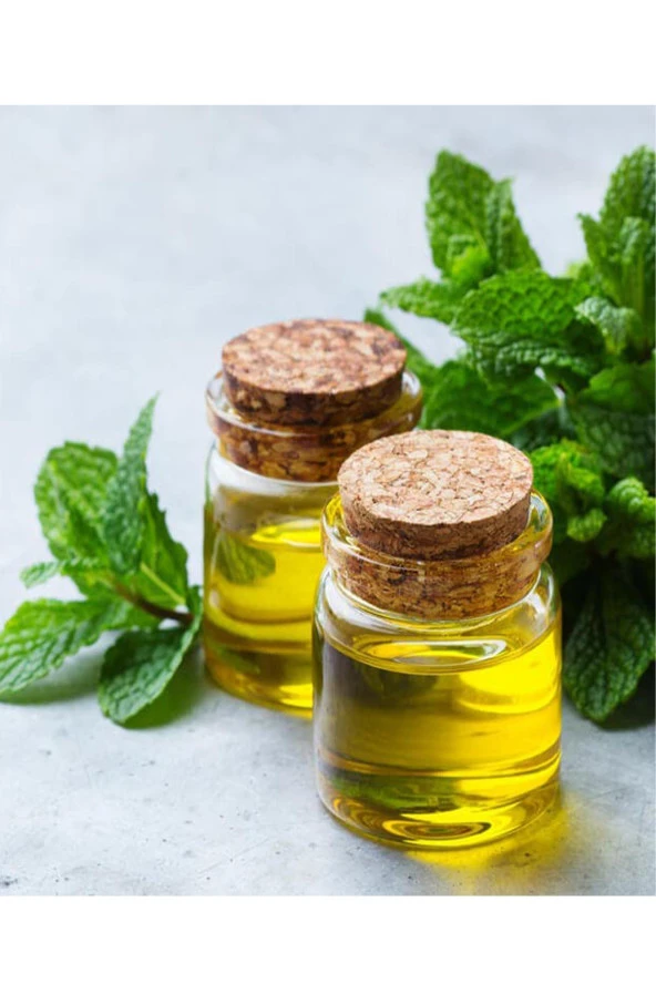 Balen Nane Yağı Distilasyon 20 ml 4 Adet - Resim 4