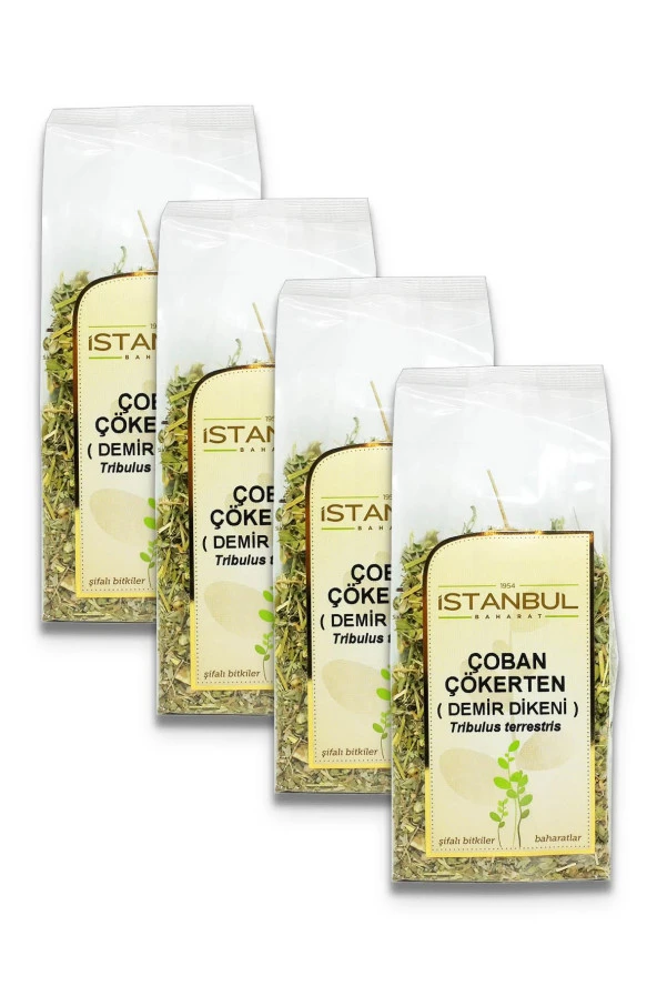 İstanbul Baharat Çoban Çökerten (Demir Dikeni) 4x70 gr ürün görseli 1