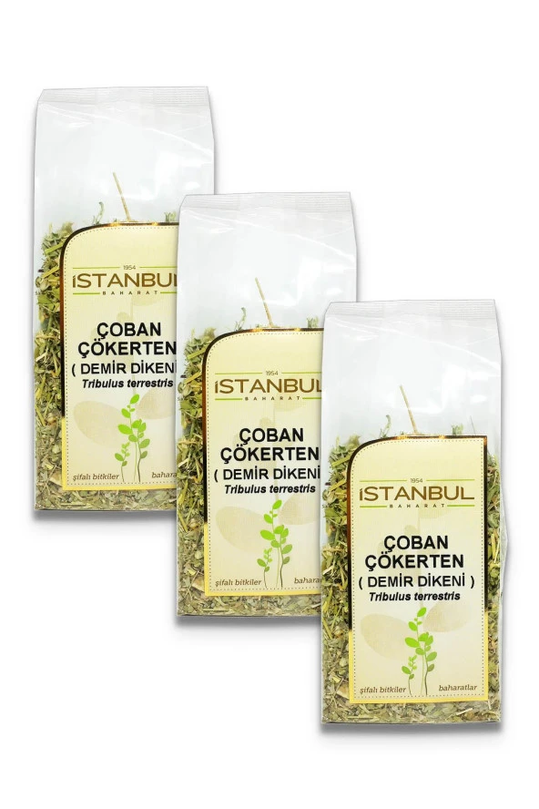 İstanbul Baharat Çoban Çökerten (Demir Dikeni) 3x70 gr ürün görseli 1