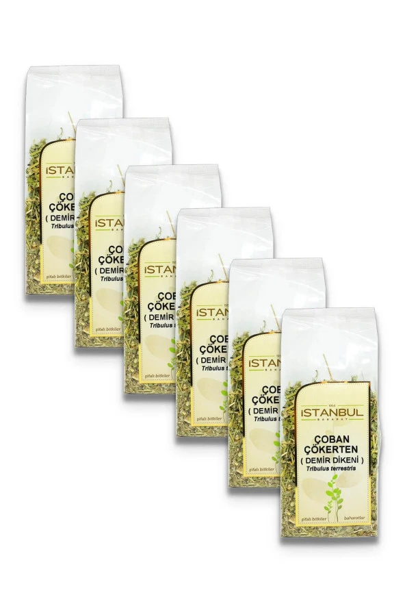 İstanbul Baharat Çoban Çökerten (Demir Dikeni) 6x70 gr ürün görseli 1