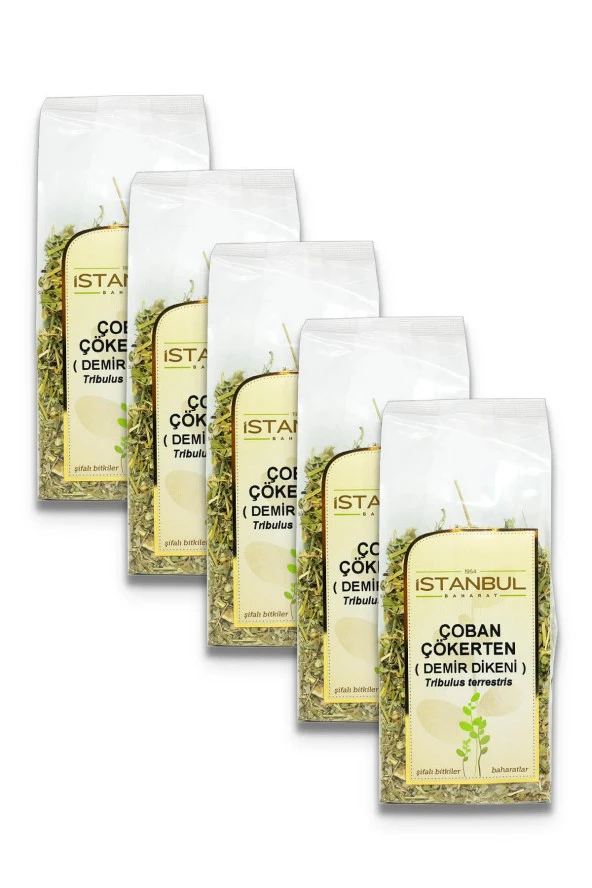 İstanbul Baharat Çoban Çökerten (Demir Dikeni) 5x70 gr ürün görseli 1
