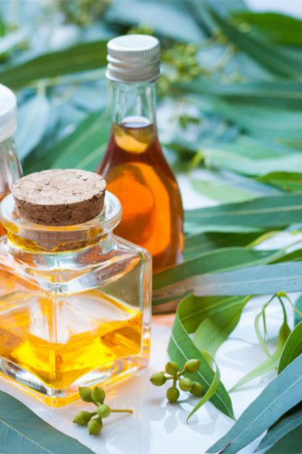 Balen Okaliptüs Yağı Distilasyon 20 ml - Resim 2