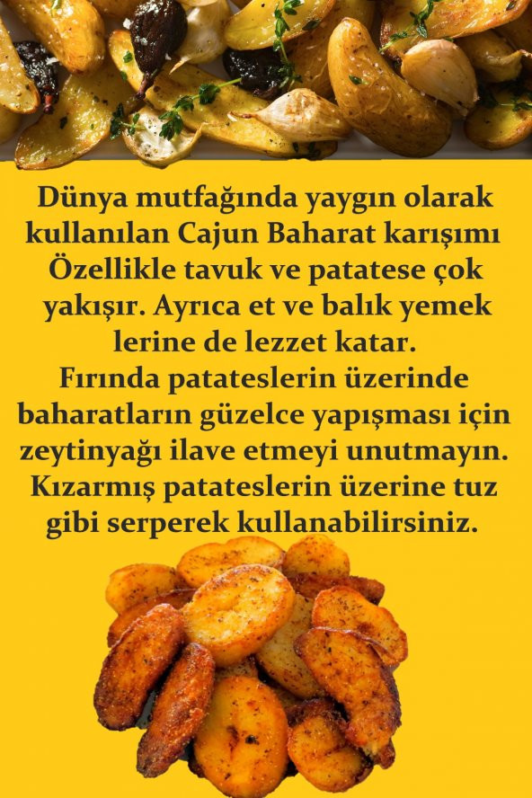 Cajun Baharatı 500 gr (Patates Baharatı) - Resim 2