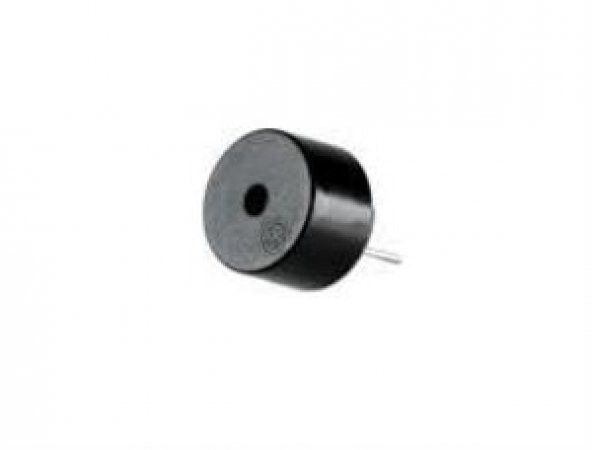Buzzer - Standart Boy 5v - Resim 2