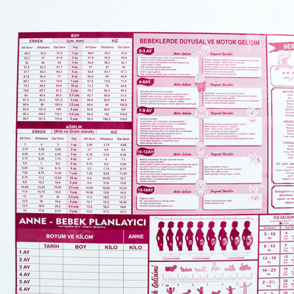 EVBUYA ANNE BEBEK PLANLAYICI AKILLI KAĞIT - Resim 2