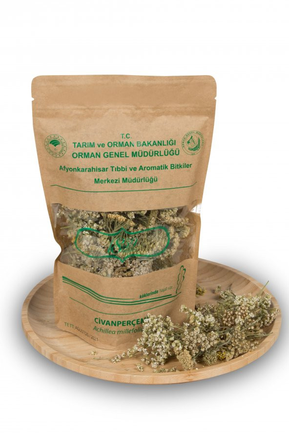Civanperçemi (Achillea millefolium) ürün görseli 1