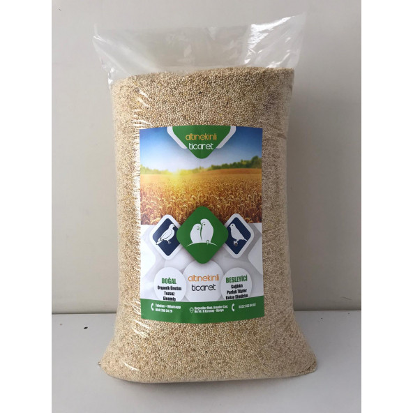 Muhabbet kuş yemi Ak Darı 5 KG ürün görseli 1