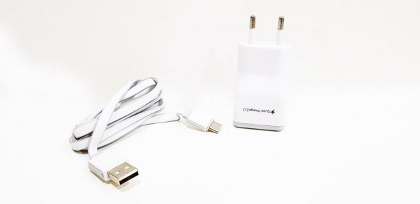 Samsung Galaxy S10+ Uyumlu USB Type-C Ev Şarj Aleti - Resim 3