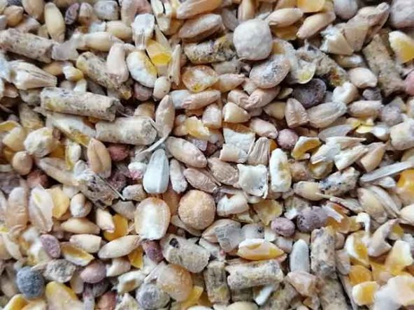 14 Çeşit Gezen Tavuk Karma Yemi 25 kg ürün görseli 1