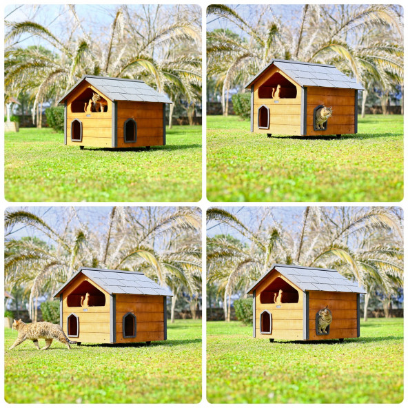 MANDU AHŞAP TERASLI (DUBLEX) KEDİ EVİ - Resim 6