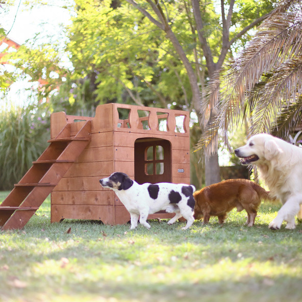 Mandu Ahşap Dublex Köpek Kulübesi (Teraslı) - Resim 2