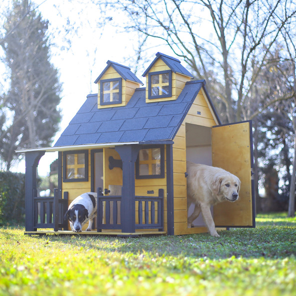 MANDU Ultra Lüks Ahşap Köpek Kulübesi (evi) GOLD EDİTİON ürün görseli 1
